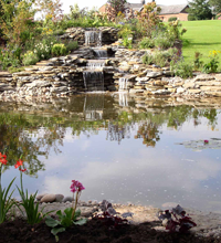 ponds