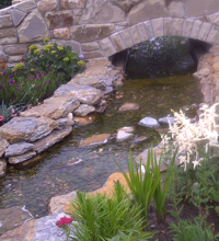 streams